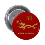 Año chino del dragón pins