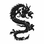 Año del dragón bordado polo bordado