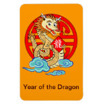 Año del dragón imanes