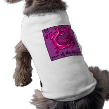 Año del dragón ropa para mascota