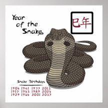 Año del poster de la serpiente