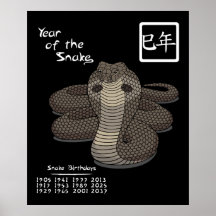 Año del poster de la serpiente