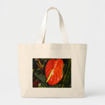 Anthurium Bolsas
