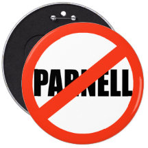 ANTI-PARNELL PIN