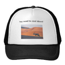 ¡Antílope del Oryx, ey necesidad de refrescarse ab Gorra