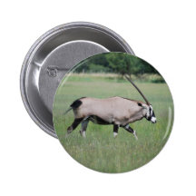 Antílope pacífico pin
