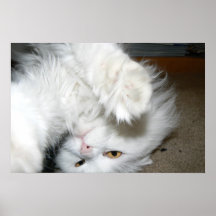 Antonieta Posters
