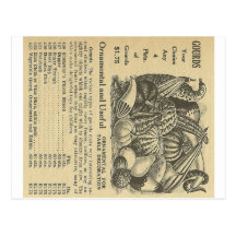 anuncio viejo de las calabazas tarjeta postal