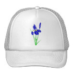 ap-flor-iris gorro de camionero