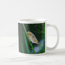 Apacible como puede ser el pequeño pájaro tazas de café