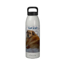 Apenas Chillin en la nieve - golden retriever Botallas De Agua