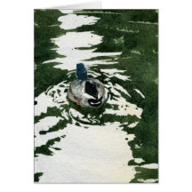 "Apenas Ducky" por Iain Stewart Tarjetas