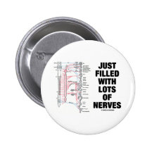 Apenas llenado de las porciones de nervios (nervio pin
