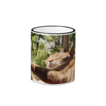 Apenas sea taza