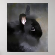 Apenas un conejo posters
