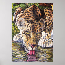 apenas un minino posters