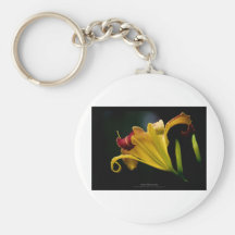 Apenas una flor - flor amarilla 016 del lirio llaveros personalizados