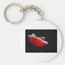 Apenas una flor - flor roja 014 de la amapola llavero