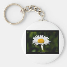 Apenas una flor - margarita blanca 005 llavero