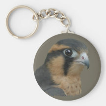 Aplomado Llaveros Personalizados