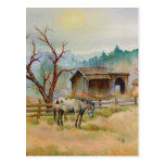 APPALOOSA de SHARON SHARPE Tarjeta Postal
