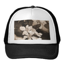 Apple florece gorros  