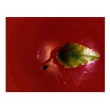 Apple rojo postal