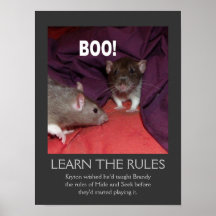 Aprenda el poster de las reglas