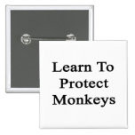 Aprenda proteger monos pins