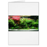 Aquascape Tarjetas