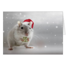 Aquí está un pequeño regalo del navidad para usted tarjeta