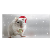 Aquí está un pequeño regalo del navidad para usted tarjeta fotográfica