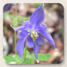 Aquilegia Posavasos De Bebida