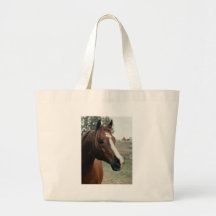 Árabe en el pasto bolsas