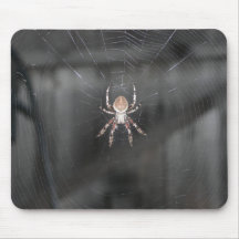 Araña asustadiza tapetes de ratón