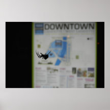 Araña céntrica posters