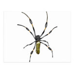 Araña de oro del orbe postal