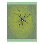Araña de oro del orbe tarjeta postal