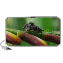 Araña de salto PC altavoces