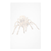 Araña del Tarantula Papeleria