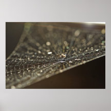 Araña en el Web Poster