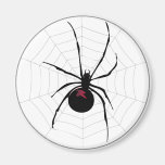 Araña Imán Para Frigorífico