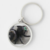 araña llaveros