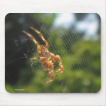Araña Mousepad