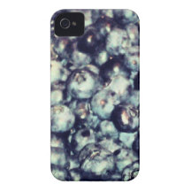 Arándanos Case-Mate iPhone 4 Coberturas