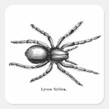 Aranha preta adesivo