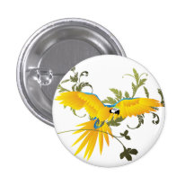 Arara-canindé Pins