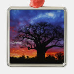 Árbol africano del baobab, digitata del Adansonia, Adornos De Navidad