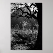 Árbol asustadizo en las montañas posters