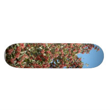 Árbol con las bayas rojas patín